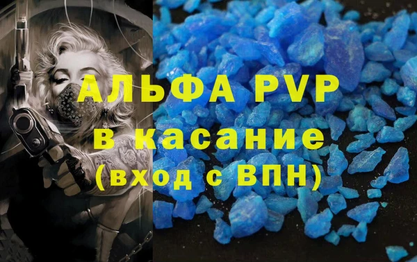 PSILOCYBIN Бородино