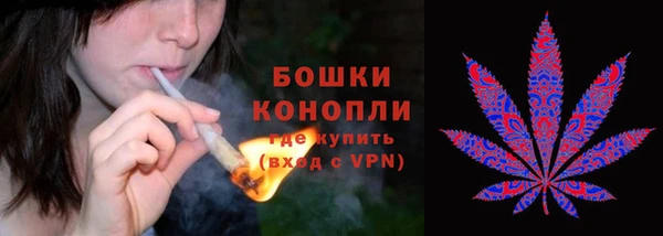 PSILOCYBIN Бородино