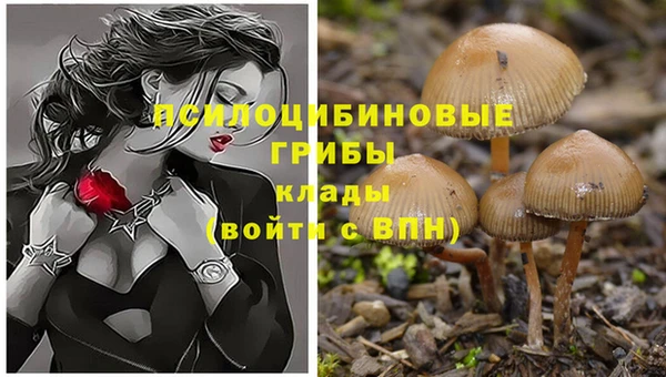 прущая мука Бугульма