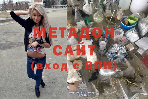 PSILOCYBIN Бородино