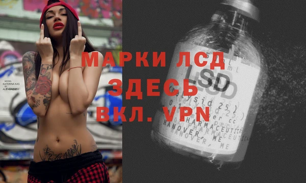 PSILOCYBIN Бородино