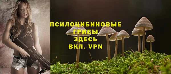 PSILOCYBIN Бородино