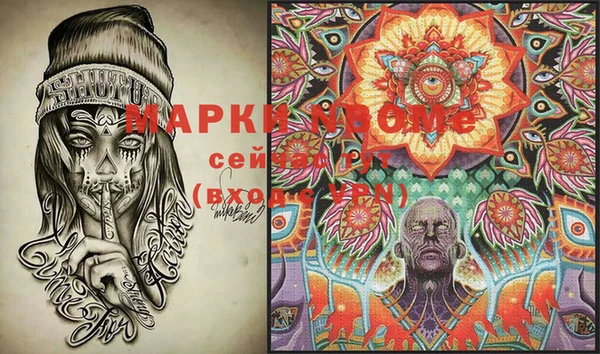 PSILOCYBIN Бородино